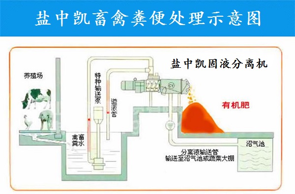 香蕉黄片大全